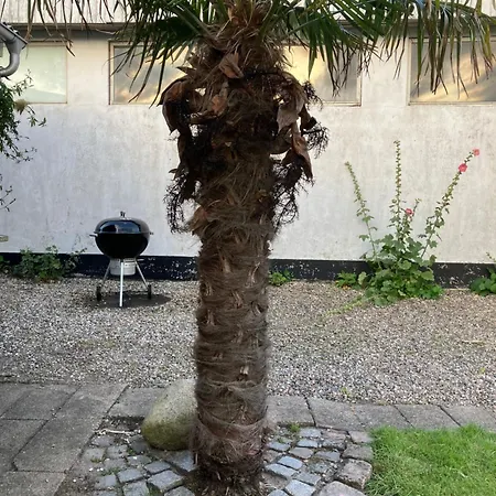 Holiday home Strandhuset Broager